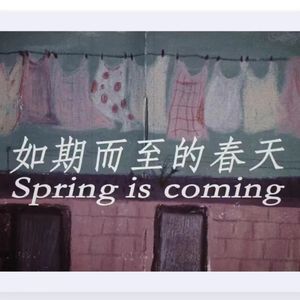 如期而至的春天
