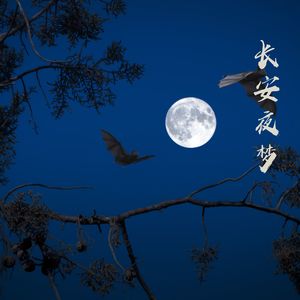 山水之间 (箜篌)