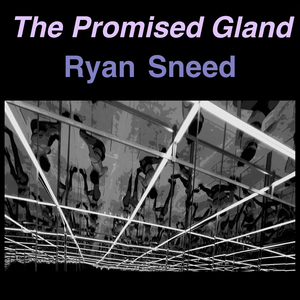 I Long to Hold Some Lady