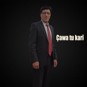 Ti Ne Biçûkî Ez Bêjim