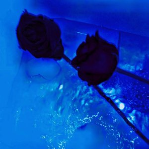 Rose's Blood（玫瑰红）