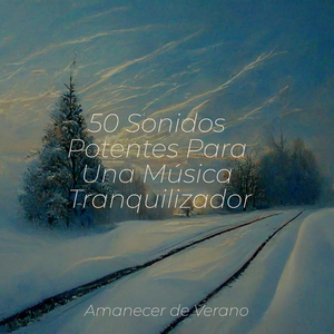 Melodías del Crepúsculo