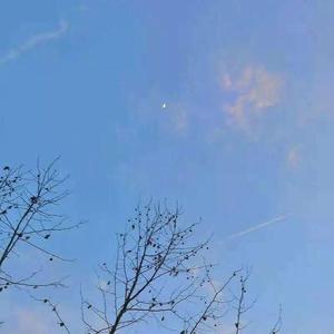 返老还童丹（翻唱）