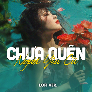 Chưa Quên Người Yêu Cũ (Lofi)