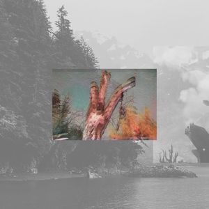 Life yet in These Wandering Thoughts