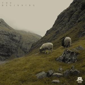 Calm Before the Storm