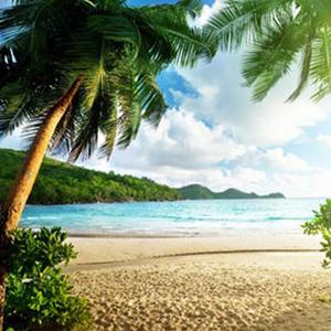 Danza Kuduro（纯音乐）