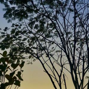 今天你给我坐下（翻自 齐欣雨）
