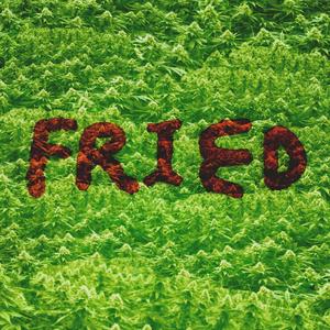 VIII (feat. Annunaki Cruz, Banditt the Ill Alchemist, Synthlad & Ultraklystron)