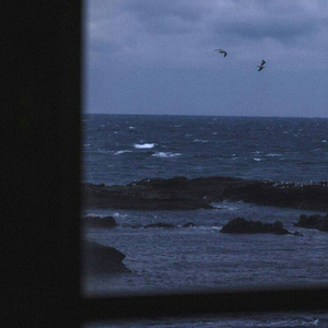 但我们都做不到了