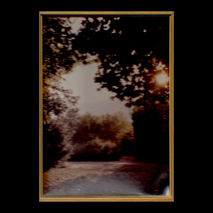 Zwischen den schönsten Bäumen