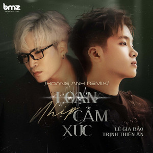 Loạn Nhịp Cảm Xúc (Hoàng Anh Remix)