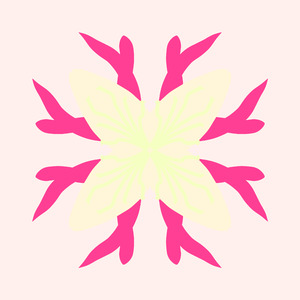 Lonicera Caprifolium