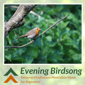 Sleepy Mood (Effective Sleep Aid)