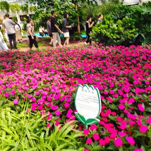 来自星星的孩子