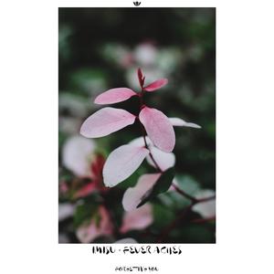 Forgetting You (feat. Fever Aches)