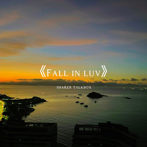 fall in luv-shaker talkbox