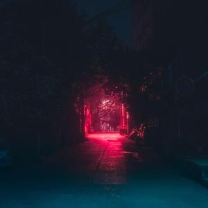 只因你太美（ROE Bootleg）