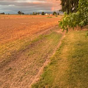 Goodbye (Remaster 2025)