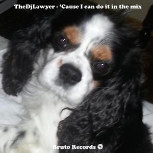'Cause I Can Do It In The Mix (Original Mix)