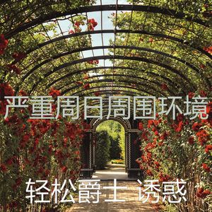 一尘不染周六印象数