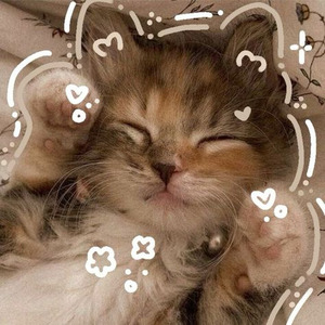 VIRGO'S GROOVE (nightcore)