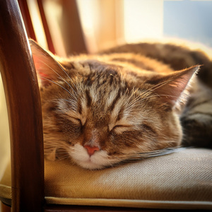 Sitting Still In Silent Ease