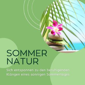 Beruhigenden Klängen