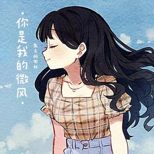 你是我的微风