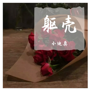 躯壳（男生翻唱）