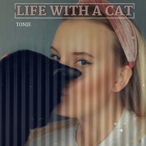 Life With a Cat