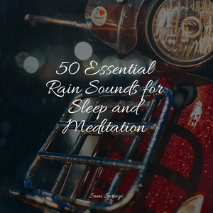 Bird Calls, Field, Mid Day