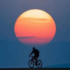 风波不信菱枝弱