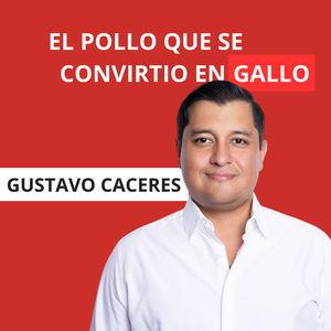 El Pollo Que Se Convirtio En Gallo