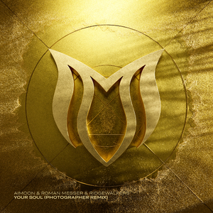 Your Soul (Photographer Extended Remix)