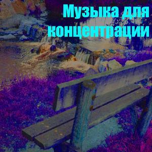 ?????? ??? ???????????? 3 (???? ??? ??)