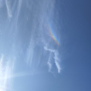 风声和