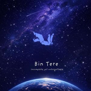Bin Tere