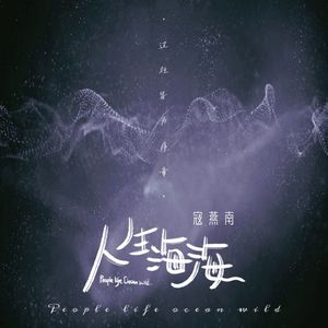 人生海海