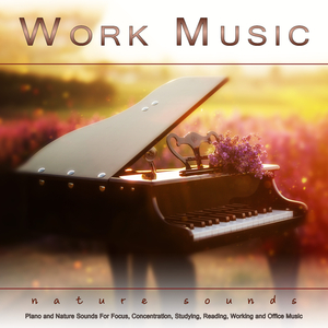 Concentration Music for Work