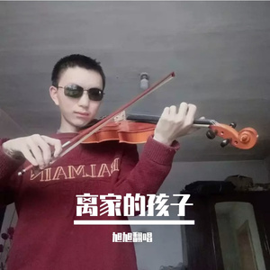 离家的孩子（二胡版）