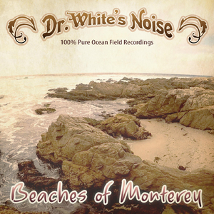 Distant Roar at the Carmel Tidepools