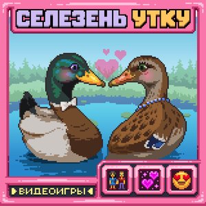 Селезень Утку