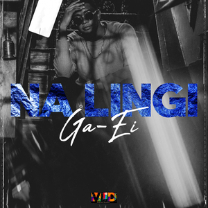 Na Lingi (Acoustique)
