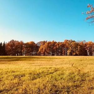 开开心心生活（纯音乐）