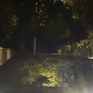 新的一年好事多多