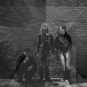 Perception