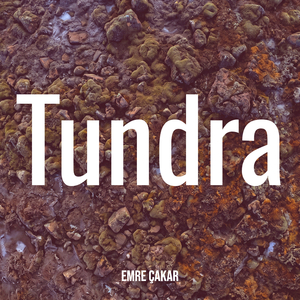 Tundra