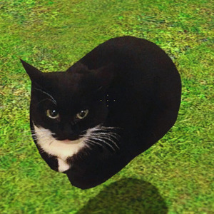 Maxwell Cat Song (Remix)