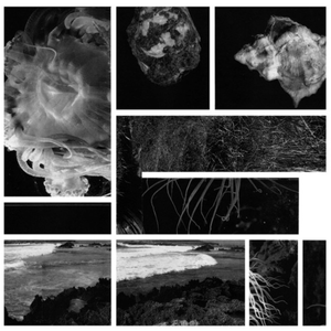 La Solidità de la Nebbia